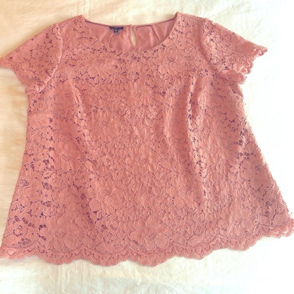 Talbots Top Dusty Rose Lace Blouse Short Sleeve Lined Scallop Hem Plus size 18W - Picture 9 of 15